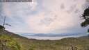 ./images/calvert/fitz-hugh-hecate/20260814/fitz-hugh-hecate20260814_131501M.jpg