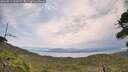 ./images/calvert/fitz-hugh-hecate/20260814/fitz-hugh-hecate20260814_132002M.jpg