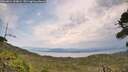 ./images/calvert/fitz-hugh-hecate/20260814/fitz-hugh-hecate20260814_133001M.jpg