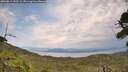 ./images/calvert/fitz-hugh-hecate/20260814/fitz-hugh-hecate20260814_133501M.jpg
