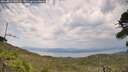 ./images/calvert/fitz-hugh-hecate/20260814/fitz-hugh-hecate20260814_135501M.jpg