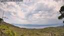 ./images/calvert/fitz-hugh-hecate/20260814/fitz-hugh-hecate20260814_140001M.jpg