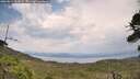 ./images/calvert/fitz-hugh-hecate/20260814/fitz-hugh-hecate20260814_143001M.jpg