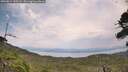 ./images/calvert/fitz-hugh-hecate/20260814/fitz-hugh-hecate20260814_145501M.jpg
