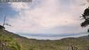 ./images/calvert/fitz-hugh-hecate/20260814/fitz-hugh-hecate20260814_150001M.jpg