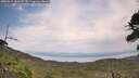 ./images/calvert/fitz-hugh-hecate/20260814/fitz-hugh-hecate20260814_151001M.jpg