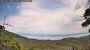 ./images/calvert/fitz-hugh-hecate/20260814/fitz-hugh-hecate20260814_152501M.jpg