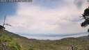 ./images/calvert/fitz-hugh-hecate/20260814/fitz-hugh-hecate20260814_153001M.jpg