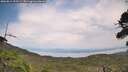 ./images/calvert/fitz-hugh-hecate/20260814/fitz-hugh-hecate20260814_153501M.jpg