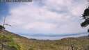 ./images/calvert/fitz-hugh-hecate/20260814/fitz-hugh-hecate20260814_154002M.jpg