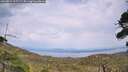 ./images/calvert/fitz-hugh-hecate/20260814/fitz-hugh-hecate20260814_155501M.jpg