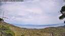 ./images/calvert/fitz-hugh-hecate/20260814/fitz-hugh-hecate20260814_160001M.jpg