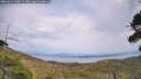 ./images/calvert/fitz-hugh-hecate/20260814/fitz-hugh-hecate20260814_160501M.jpg