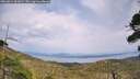 ./images/calvert/fitz-hugh-hecate/20260814/fitz-hugh-hecate20260814_161001M.jpg