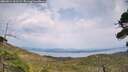 ./images/calvert/fitz-hugh-hecate/20260814/fitz-hugh-hecate20260814_161501M.jpg