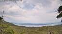 ./images/calvert/fitz-hugh-hecate/20260814/fitz-hugh-hecate20260814_162001M.jpg