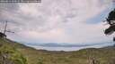 ./images/calvert/fitz-hugh-hecate/20260814/fitz-hugh-hecate20260814_163001M.jpg