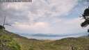 ./images/calvert/fitz-hugh-hecate/20260814/fitz-hugh-hecate20260814_164002M.jpg