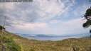 ./images/calvert/fitz-hugh-hecate/20260814/fitz-hugh-hecate20260814_165001M.jpg