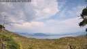 ./images/calvert/fitz-hugh-hecate/20260814/fitz-hugh-hecate20260814_165501M.jpg