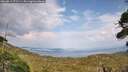 ./images/calvert/fitz-hugh-hecate/20260814/fitz-hugh-hecate20260814_171501M.jpg