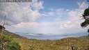 ./images/calvert/fitz-hugh-hecate/20260814/fitz-hugh-hecate20260814_172001M.jpg