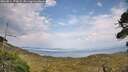 ./images/calvert/fitz-hugh-hecate/20260814/fitz-hugh-hecate20260814_173001M.jpg