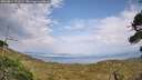 ./images/calvert/fitz-hugh-hecate/20260814/fitz-hugh-hecate20260814_173501M.jpg