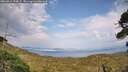 ./images/calvert/fitz-hugh-hecate/20260814/fitz-hugh-hecate20260814_174001M.jpg