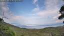./images/calvert/fitz-hugh-hecate/20260814/fitz-hugh-hecate20260814_180501M.jpg