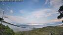 ./images/calvert/fitz-hugh-hecate/20260814/fitz-hugh-hecate20260814_183501M.jpg
