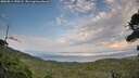 ./images/calvert/fitz-hugh-hecate/20260814/fitz-hugh-hecate20260814_190501M.jpg
