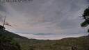 ./images/calvert/fitz-hugh-hecate/20260814/fitz-hugh-hecate20260814_211501M.jpg