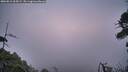./images/calvert/fitz-hugh-hecate/20260815/fitz-hugh-hecate20260815_064502M.jpg