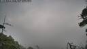 ./images/calvert/fitz-hugh-hecate/20260815/fitz-hugh-hecate20260815_075001M.jpg
