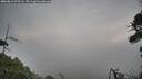./images/calvert/fitz-hugh-hecate/20260815/fitz-hugh-hecate20260815_075502M.jpg