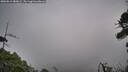 ./images/calvert/fitz-hugh-hecate/20260815/fitz-hugh-hecate20260815_080001M.jpg