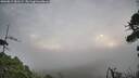 ./images/calvert/fitz-hugh-hecate/20260815/fitz-hugh-hecate20260815_081502M.jpg