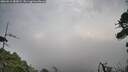 ./images/calvert/fitz-hugh-hecate/20260815/fitz-hugh-hecate20260815_083002M.jpg