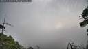 ./images/calvert/fitz-hugh-hecate/20260815/fitz-hugh-hecate20260815_083501M.jpg