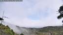./images/calvert/fitz-hugh-hecate/20260815/fitz-hugh-hecate20260815_132501M.jpg