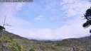 ./images/calvert/fitz-hugh-hecate/20260815/fitz-hugh-hecate20260815_134001M.jpg