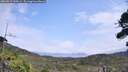./images/calvert/fitz-hugh-hecate/20260815/fitz-hugh-hecate20260815_135001M.jpg