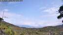 ./images/calvert/fitz-hugh-hecate/20260815/fitz-hugh-hecate20260815_140001M.jpg