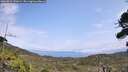 ./images/calvert/fitz-hugh-hecate/20260815/fitz-hugh-hecate20260815_141001M.jpg