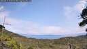 ./images/calvert/fitz-hugh-hecate/20260815/fitz-hugh-hecate20260815_141502M.jpg