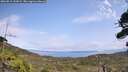 ./images/calvert/fitz-hugh-hecate/20260815/fitz-hugh-hecate20260815_142002M.jpg