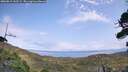 ./images/calvert/fitz-hugh-hecate/20260815/fitz-hugh-hecate20260815_142501M.jpg