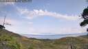./images/calvert/fitz-hugh-hecate/20260815/fitz-hugh-hecate20260815_143501M.jpg