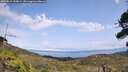 ./images/calvert/fitz-hugh-hecate/20260815/fitz-hugh-hecate20260815_144001M.jpg